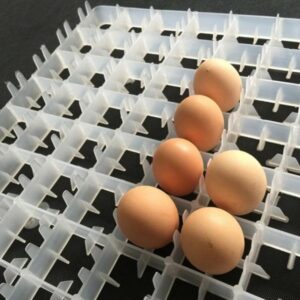 88 Egg Tray for Automatic Incubator – White Virgin Plastic, Easy to Use, Fits Chicken, Duck, Turkey Eggs