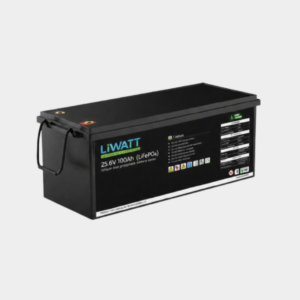 Liwatt Lithium-ion LiFePO₄ 25.6V 100Ah IPS / UPS Battery